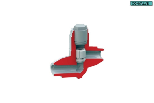 Piston Check Valve