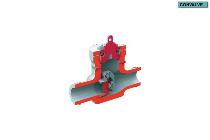 Swing Check Valve