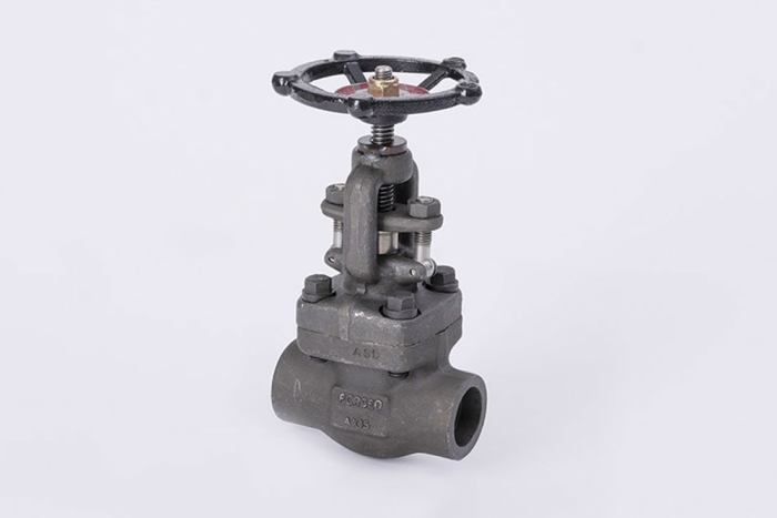 Forged Steel Gate Valve