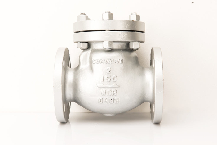 Swing Check Valve