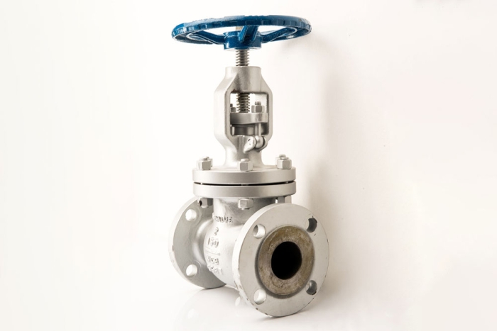 Globe Valve