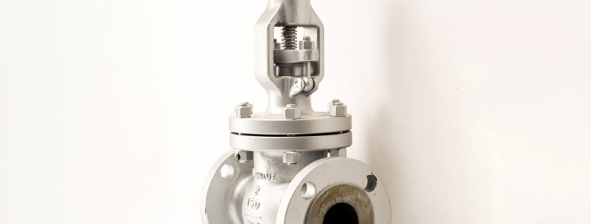 Globe Valve